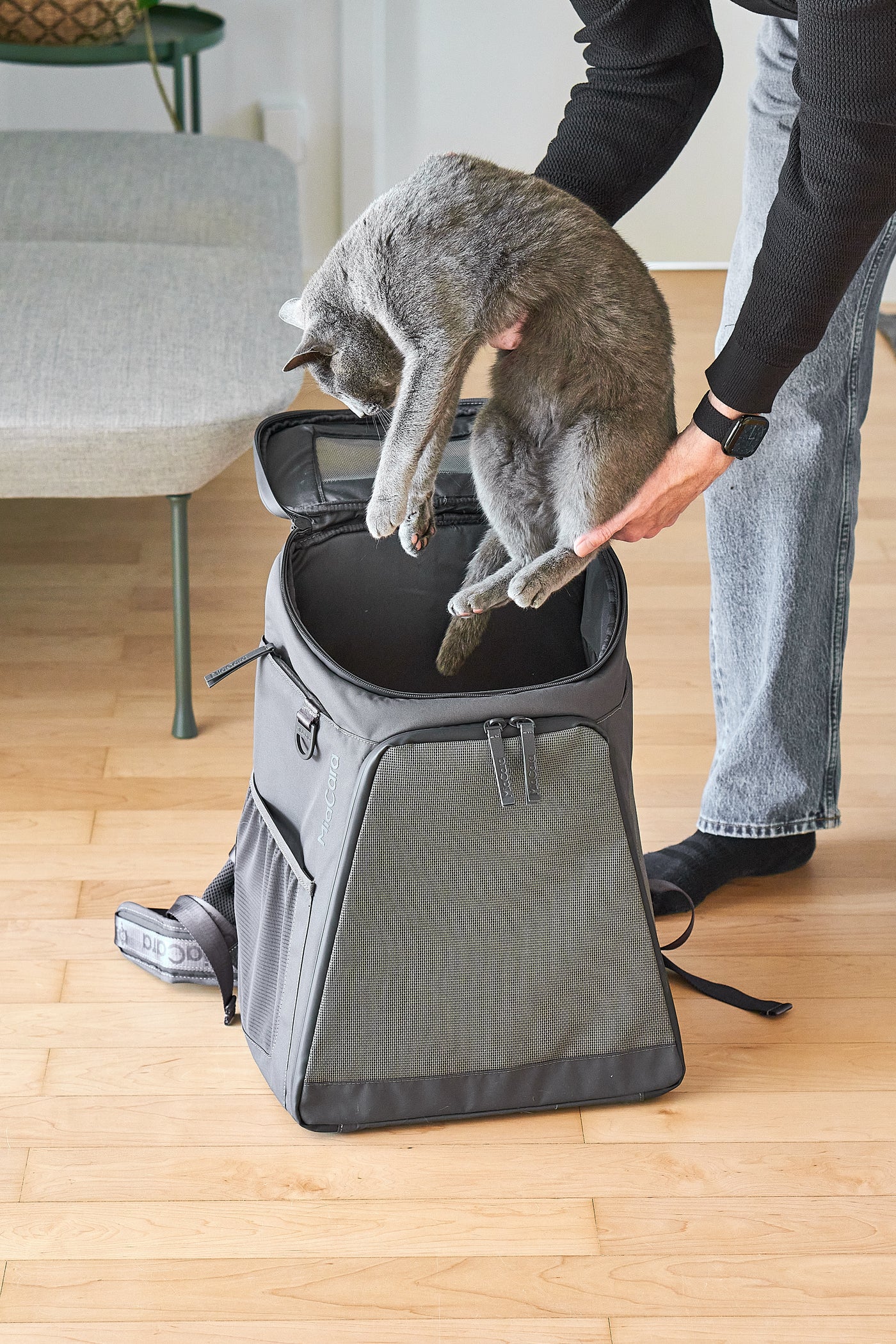 Zaino Cat Backpack, Asphalt