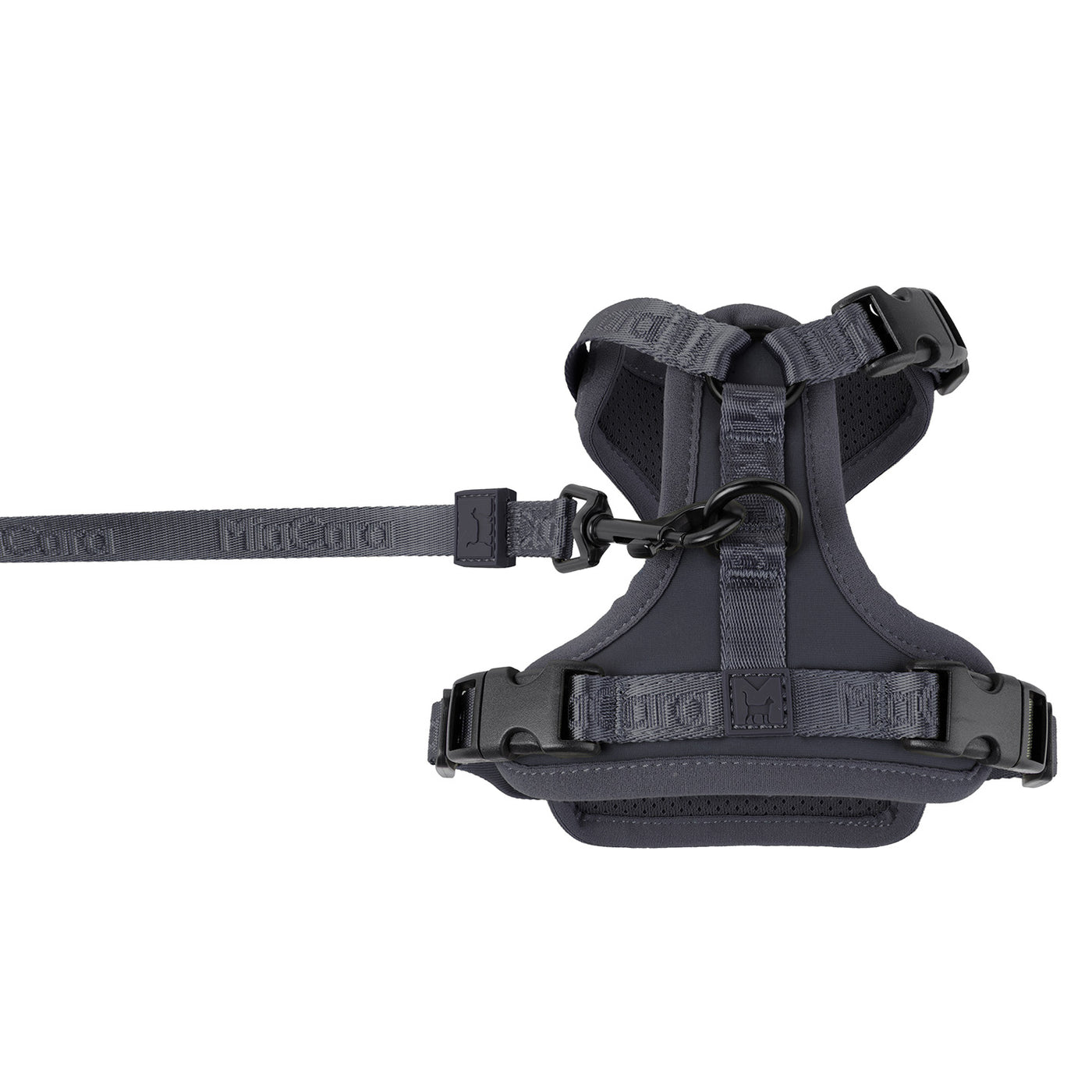 Modena Cat Harness, Asphalt