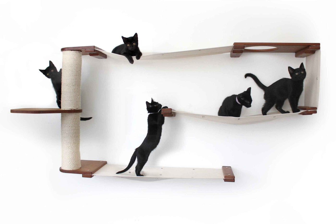 Cat Wall Maze