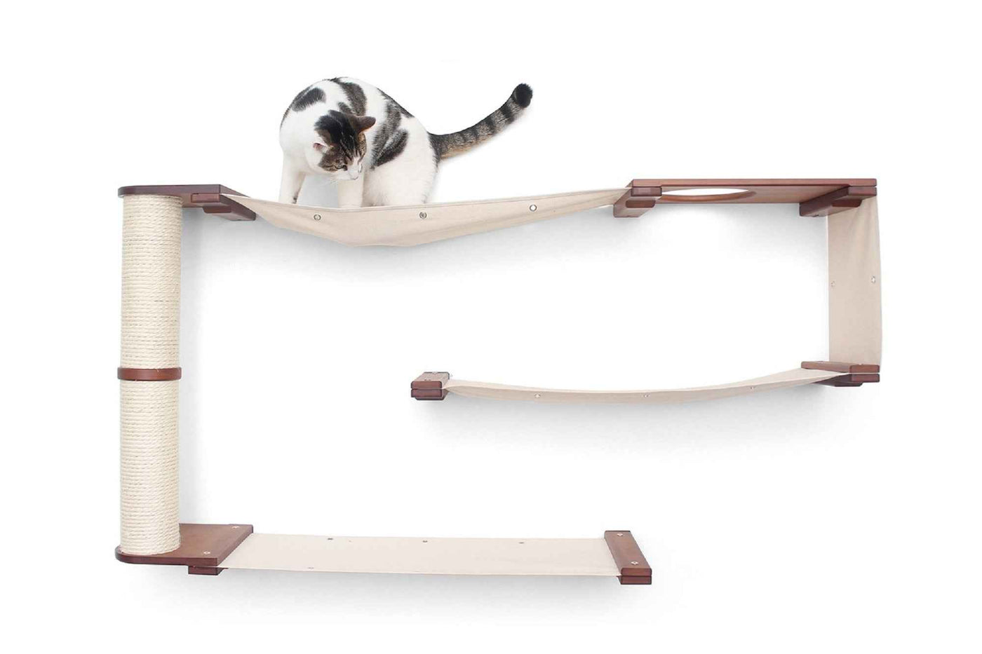 Cat Wall Maze