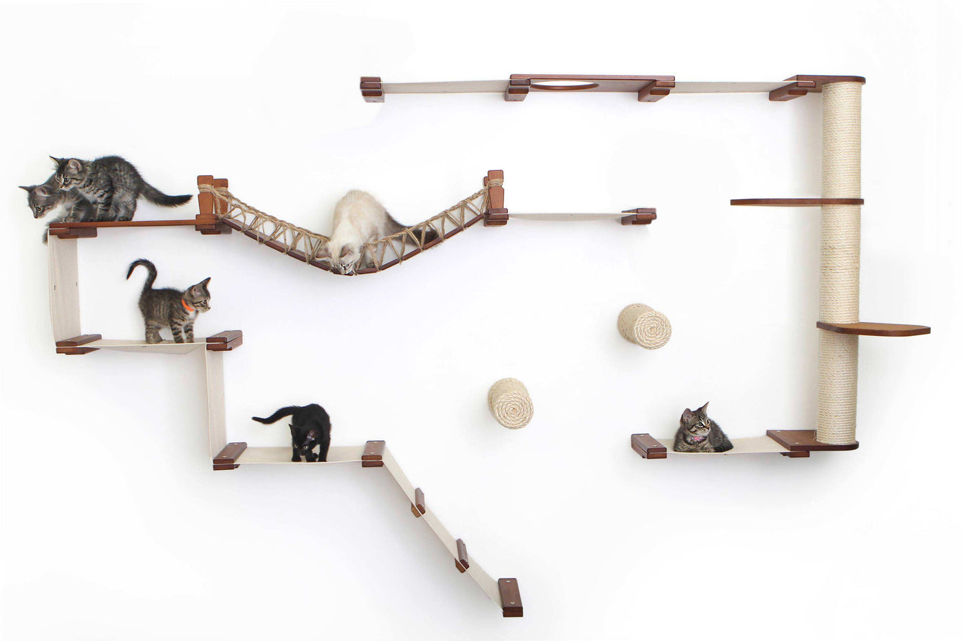 Large wall mounted cat condo packed with hammocks, a sisal pole, floating posts, a bridge, and a planter shelf