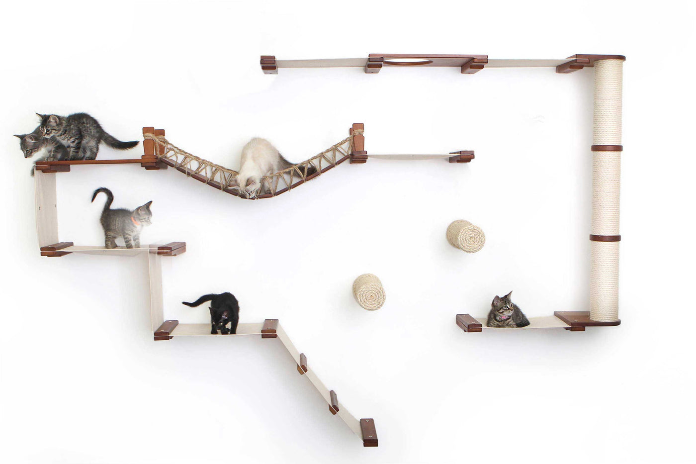 Large wall mounted cat condo packed with hammocks, a sisal pole, floating posts, a bridge, and a planter shelf