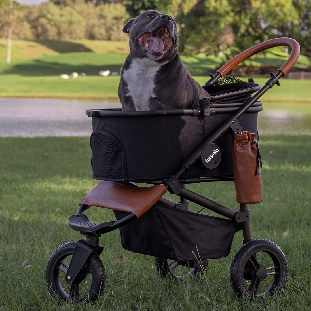 Furvelo Jogger cat stroller in black with large all terrain wheels