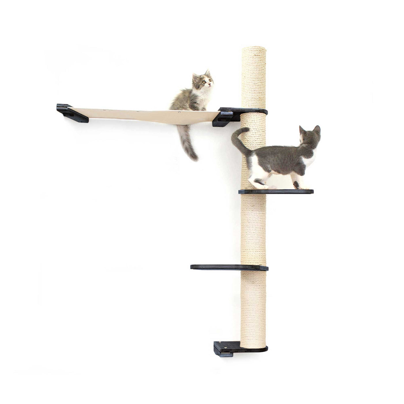 Tall wall mounted cat scratcher tree with a sisal pole installed high near the ceiling