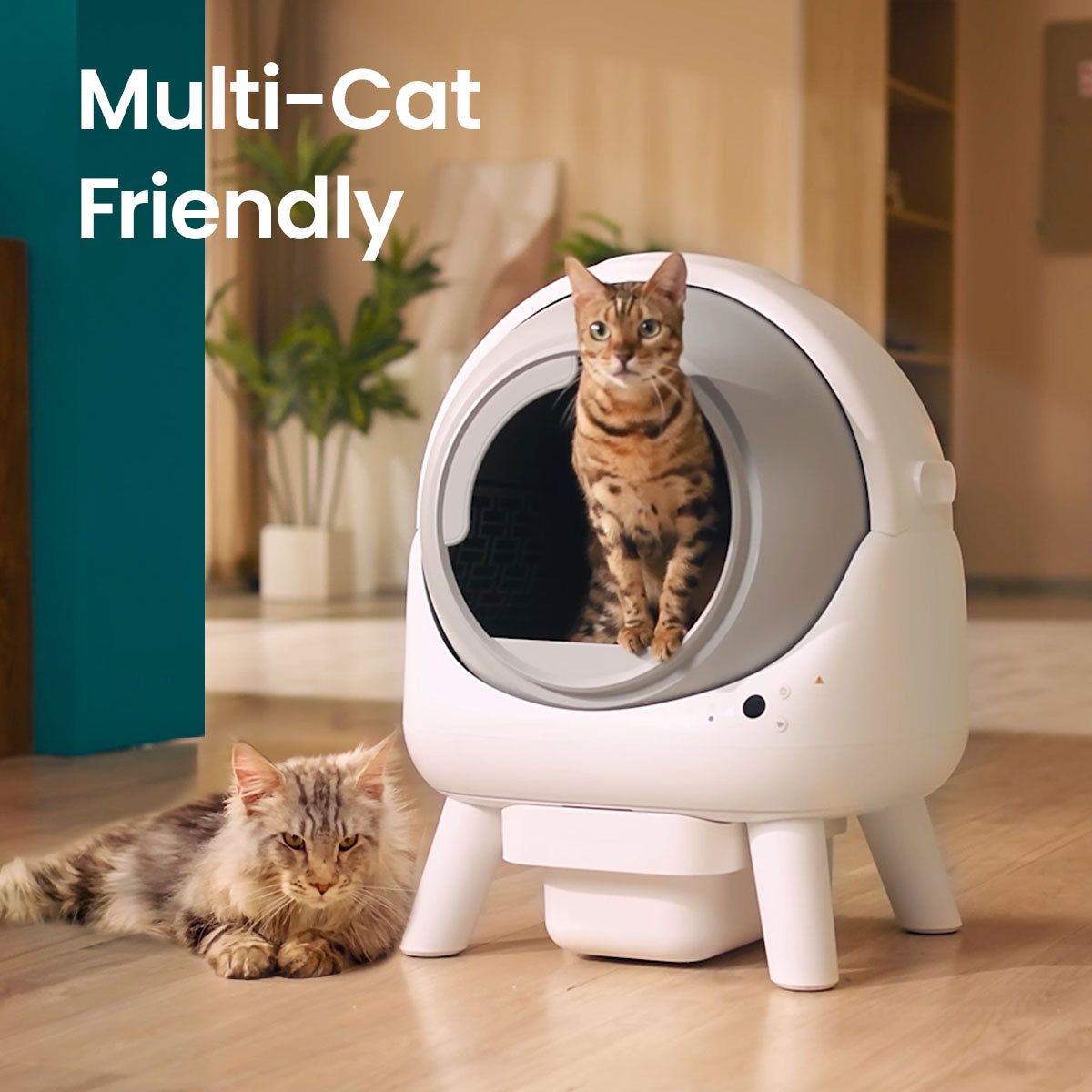 Orbitie Automatic Self-Cleaning Litter Box, view 7