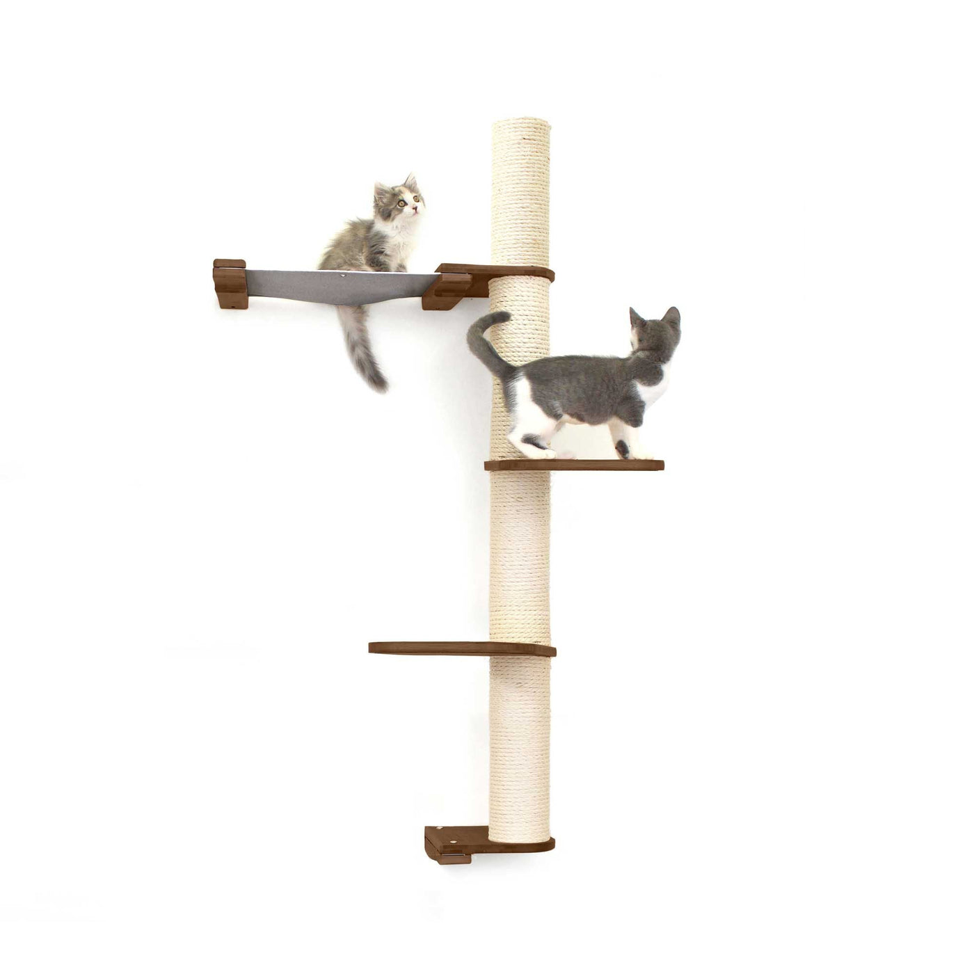 Tall wall mounted cat scratcher tree with a sisal pole installed high near the ceiling