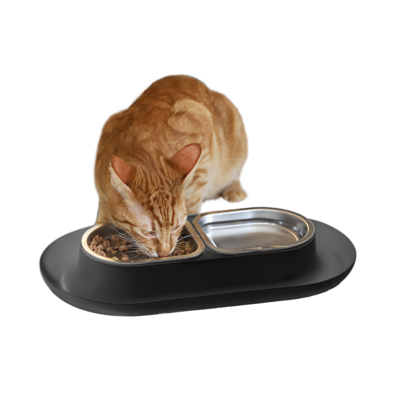 Hepper NomNom Cat Bowl by Hepper