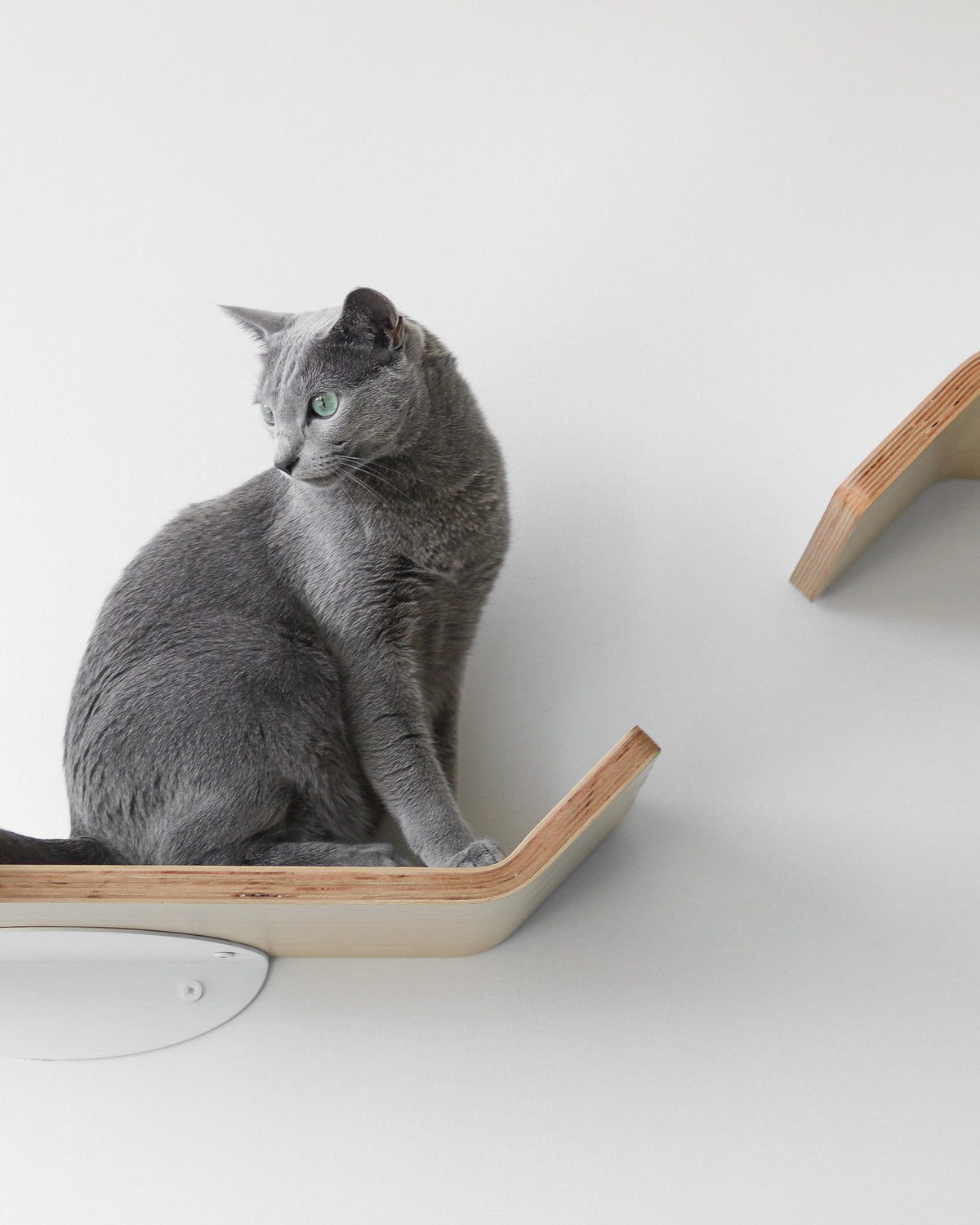 Figo Cat Wall Shelves by Noots, view 2