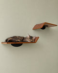 Figo Cat Wall Shelves, Curved Plywood Climbing Set of 2