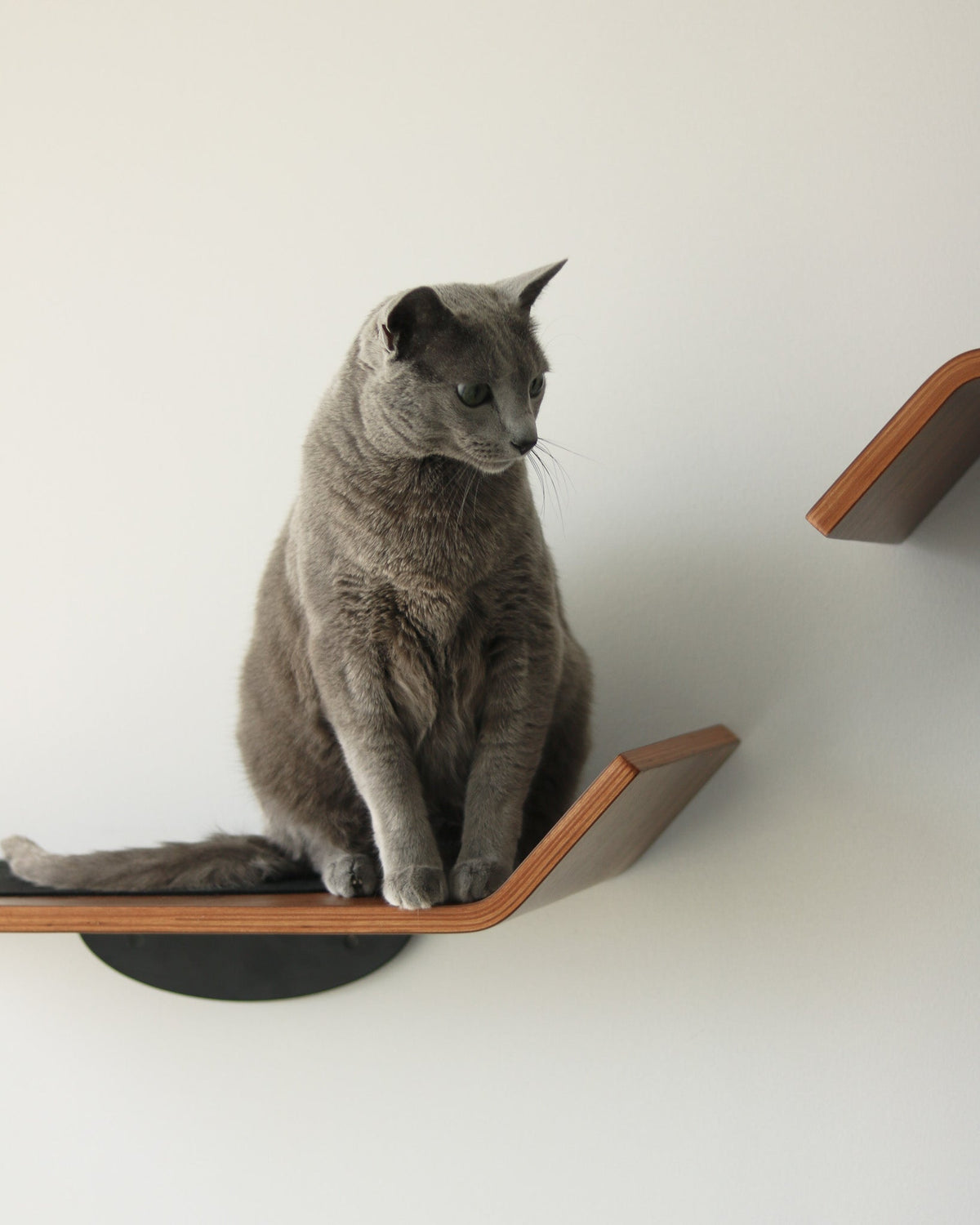 Figo Cat Wall Shelves by Noots, view 4