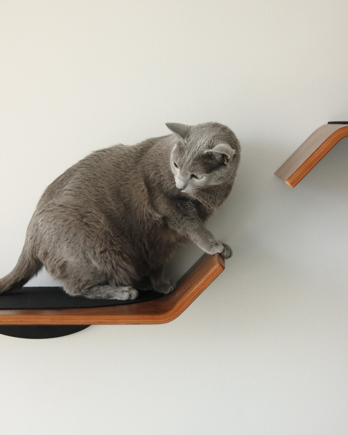 Figo Cat Wall Shelves by Noots, view 5