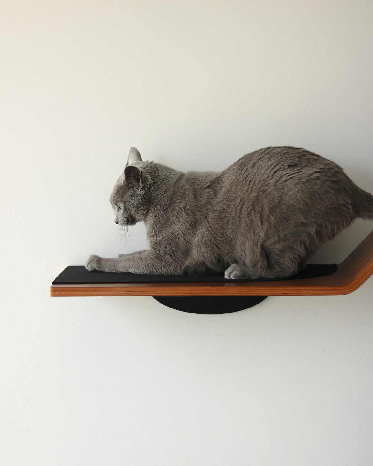 Figo Cat Wall Shelves by Noots, view 6