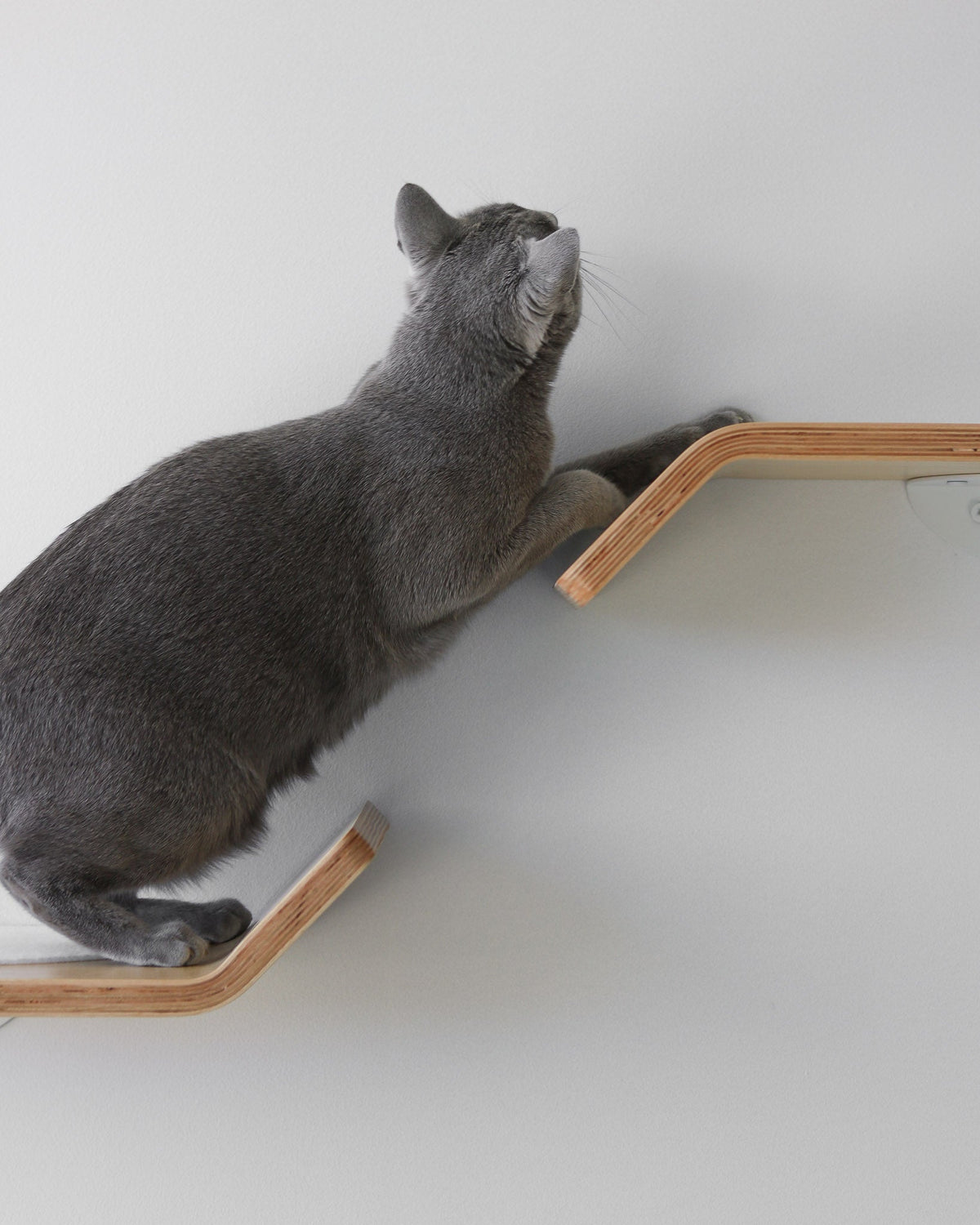 Figo Cat Wall Shelves by Noots, view 8