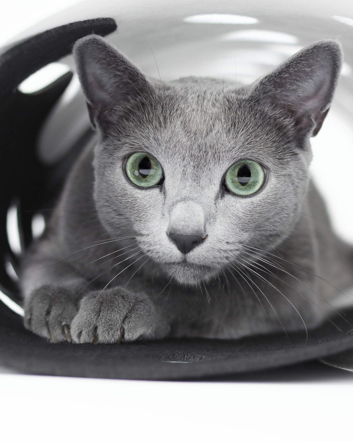 Lima Felt Cat Tunnel by Noots, view 5