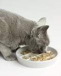 Maple Porcelain Slow Feeder Cat Bowl, Whisker-Friendly Waffle Design