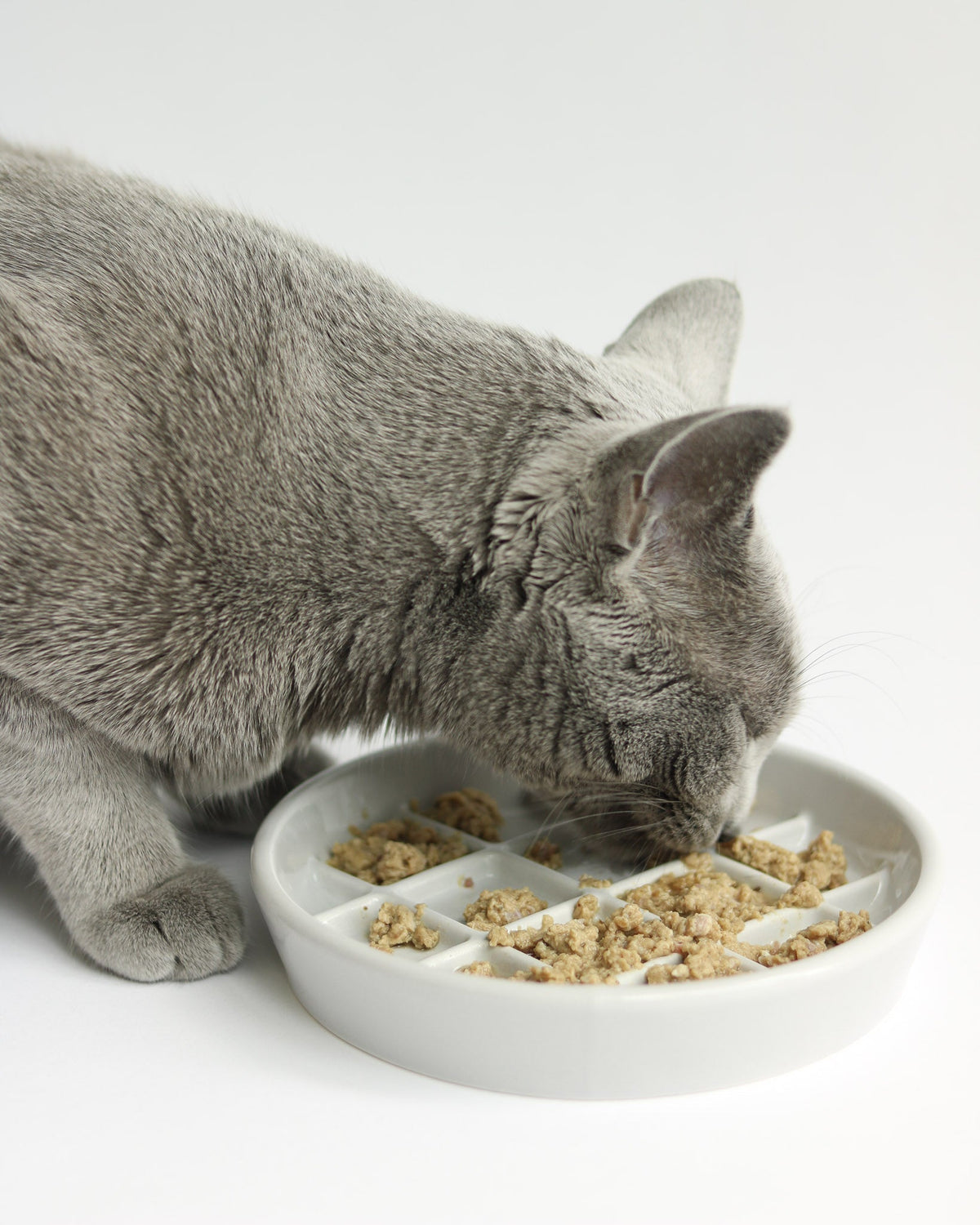 Maple Porcelain Slow Feeder Cat Bowl by Noots