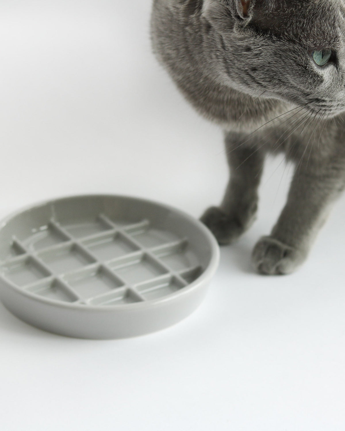 Maple Porcelain Slow Feeder Cat Bowl by Noots, view 7