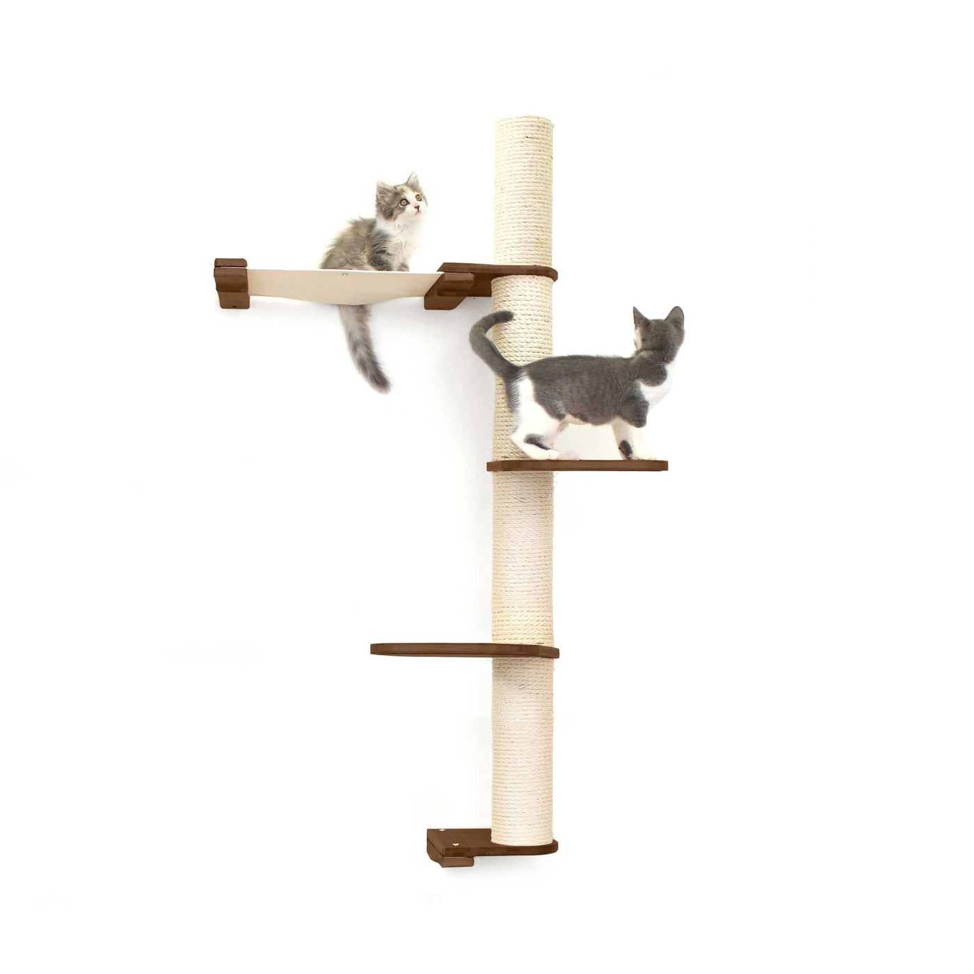Tall wall mounted cat scratcher tree with a sisal pole installed high near the ceiling