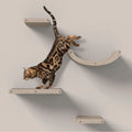 Set of 4 Cat Climbers