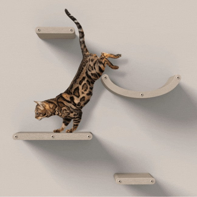 Set of 4 Cat Climbers, Oatmeal, Pryde Pets
