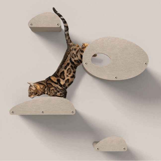Set of 4 Cat Climbers with Facades