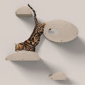 Set of 4 Cat Climbers with Facades
