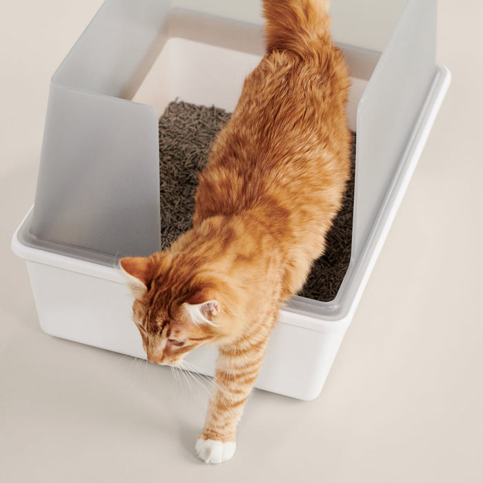 Cubby modern high-walled cat litter box