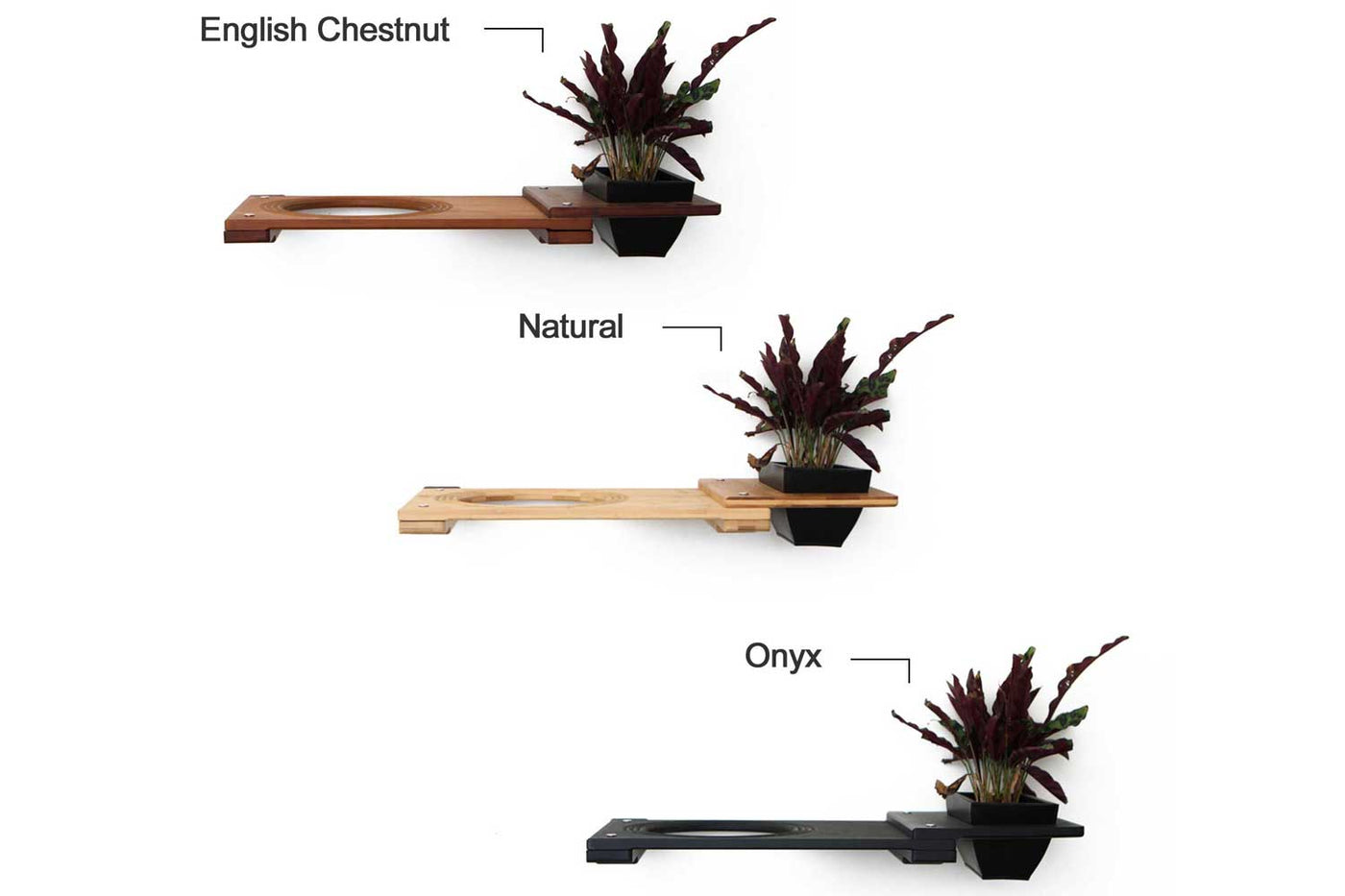 Wall mounted bamboo cat perch shelf with planter pots of greenery on either side