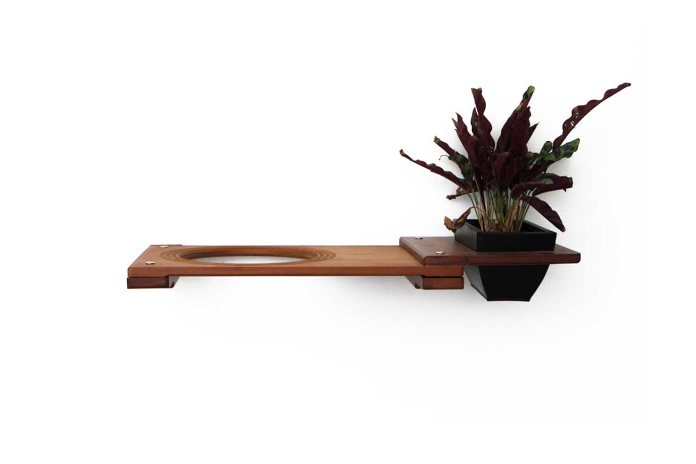 Wall mounted bamboo cat perch shelf with planter pots of greenery on either side