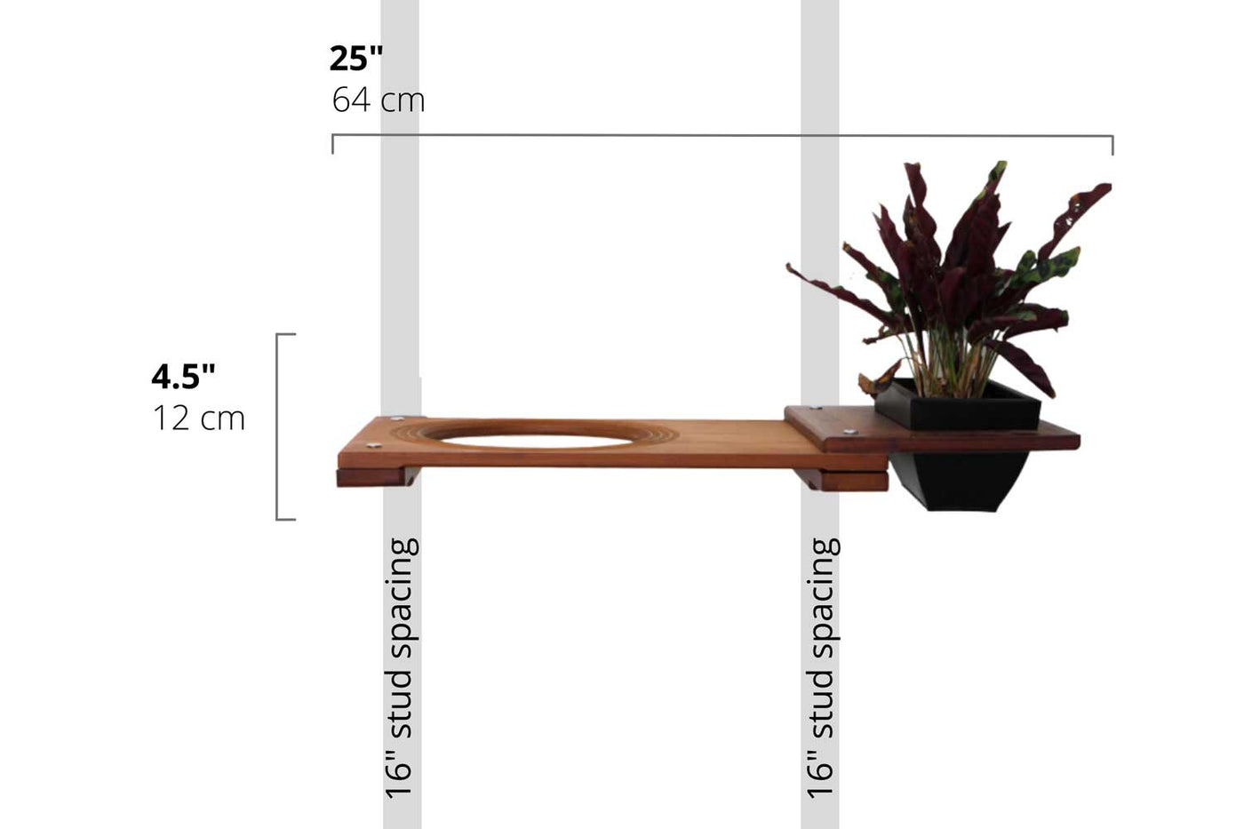Wall mounted bamboo cat perch shelf with planter pots of greenery on either side