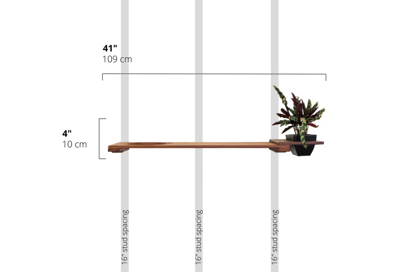 Wall mounted bamboo cat perch shelf with planter pots of greenery on either side