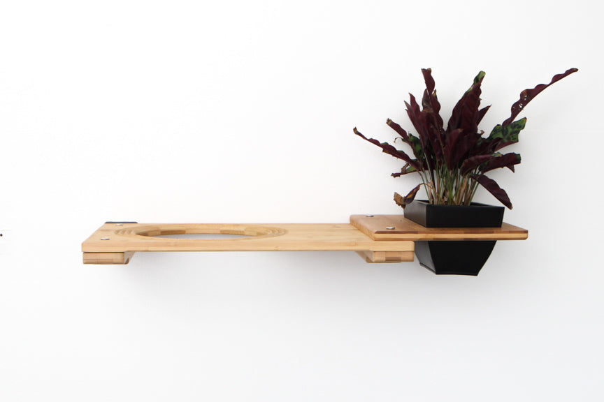Wall mounted bamboo cat perch shelf with planter pots of greenery on either side