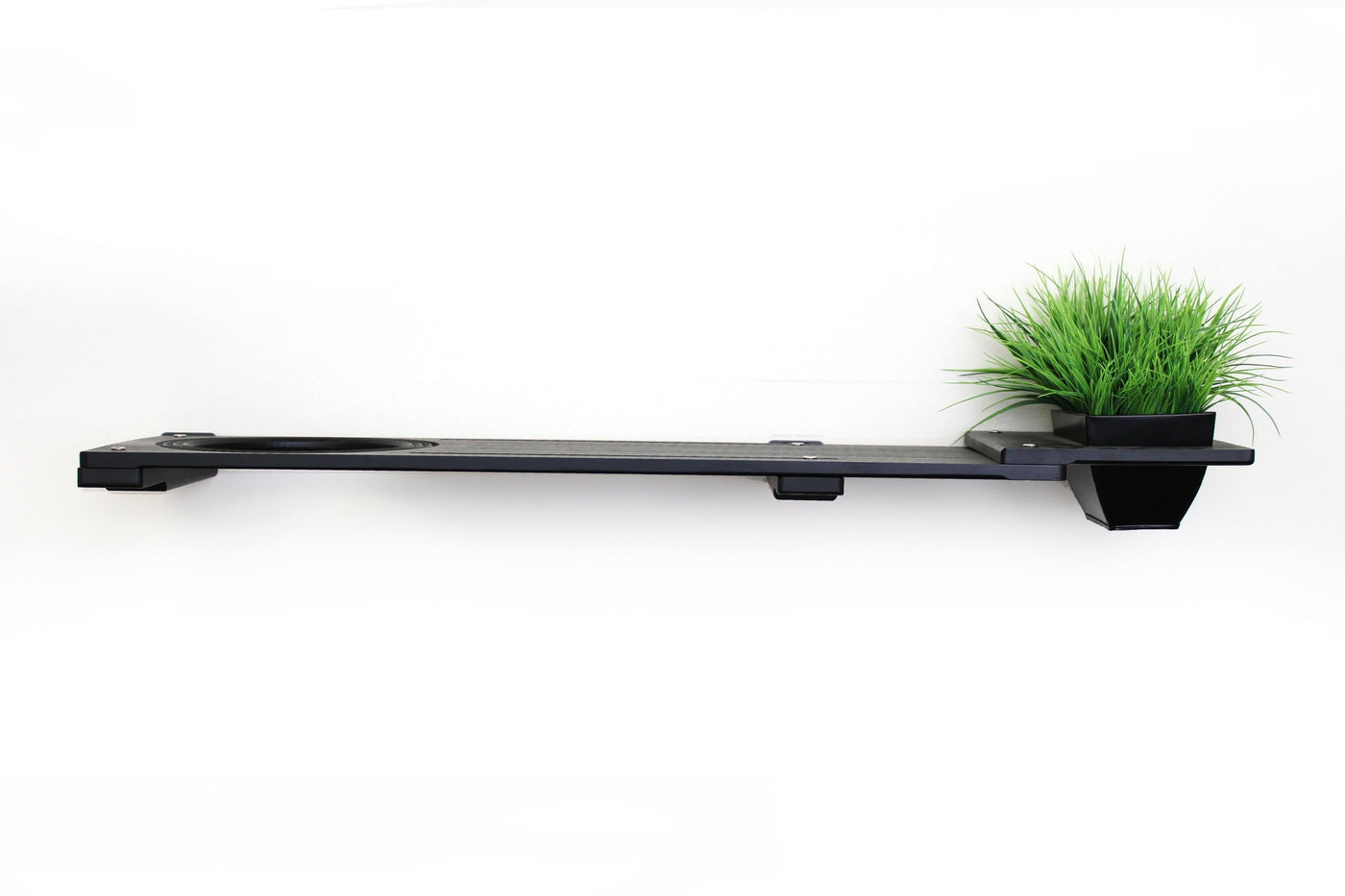 Wall mounted bamboo cat perch shelf with planter pots of greenery on either side