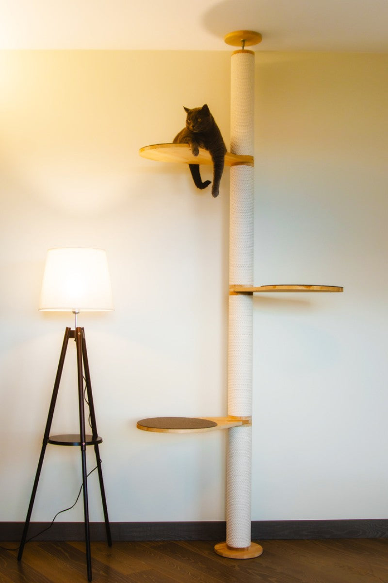 Floor-to-Ceiling Cat Tree, view 6