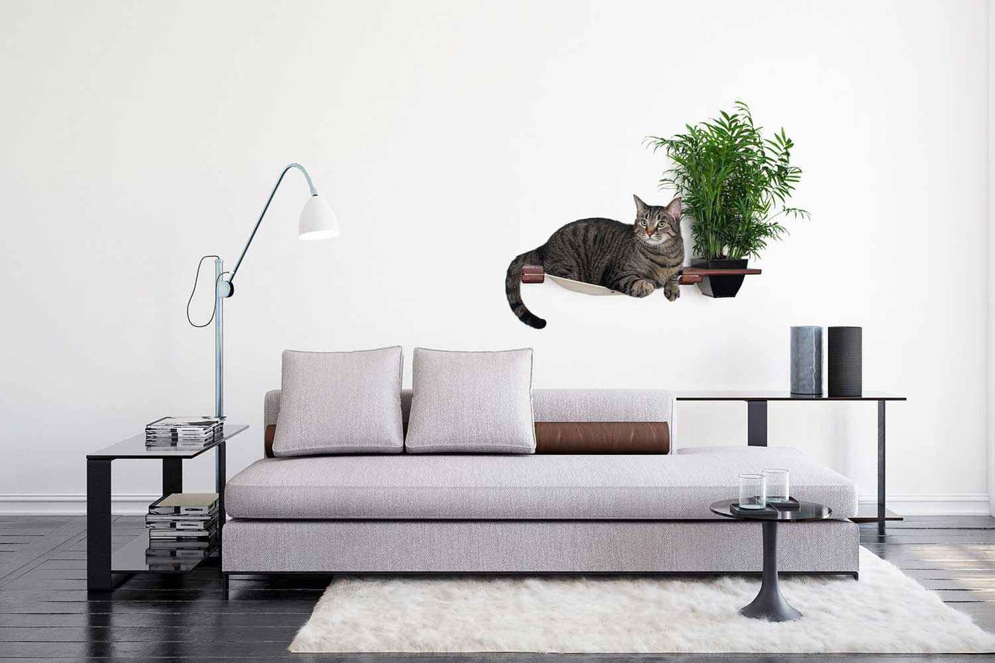 Cat Hammock Wall