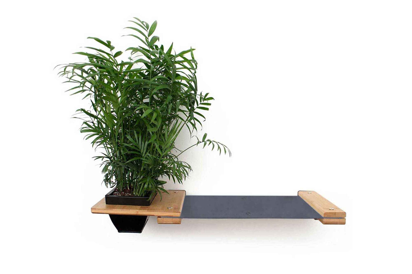 Cat Hammock Wall