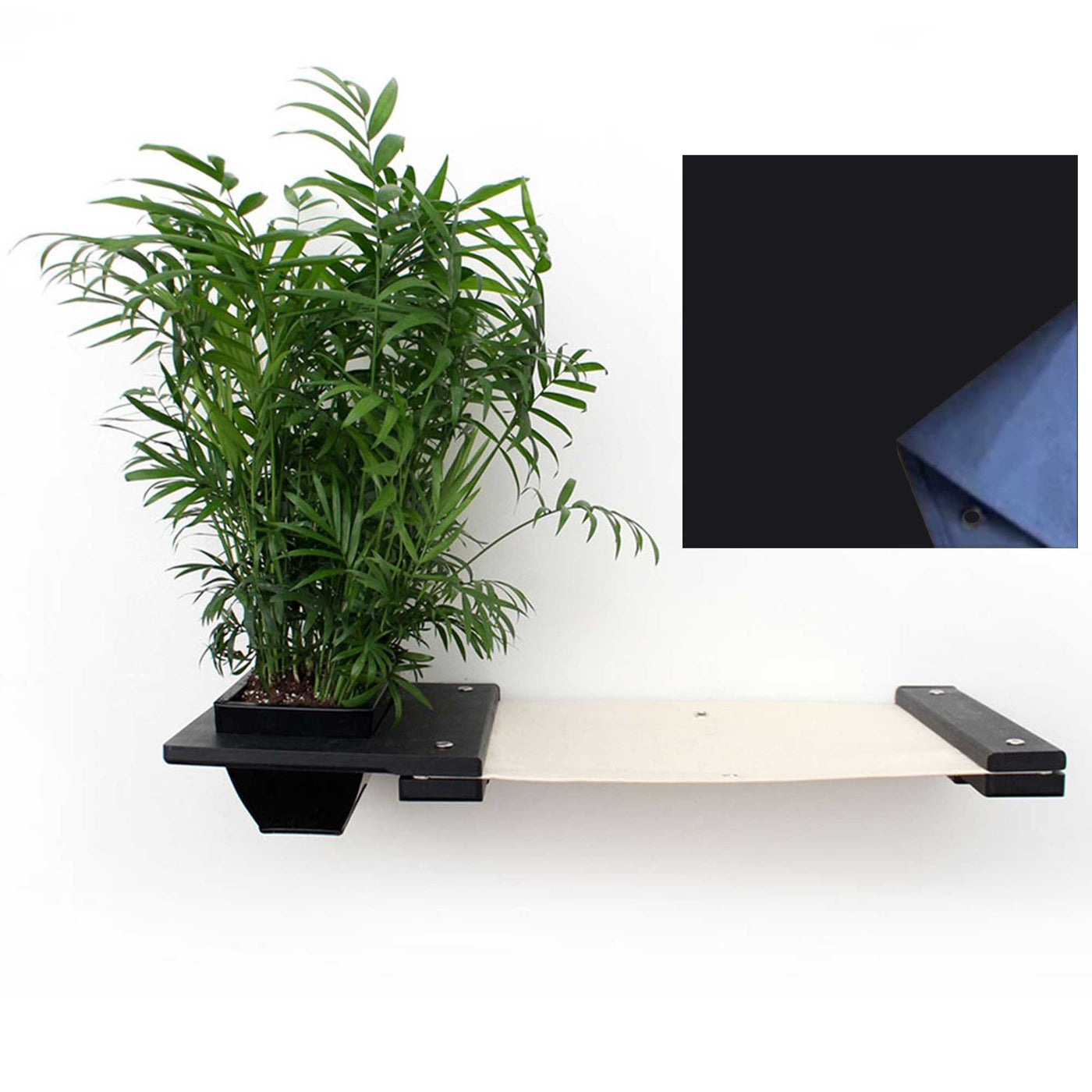 Wall mounted canvas cat hammock with an attached planter box holding cat grass