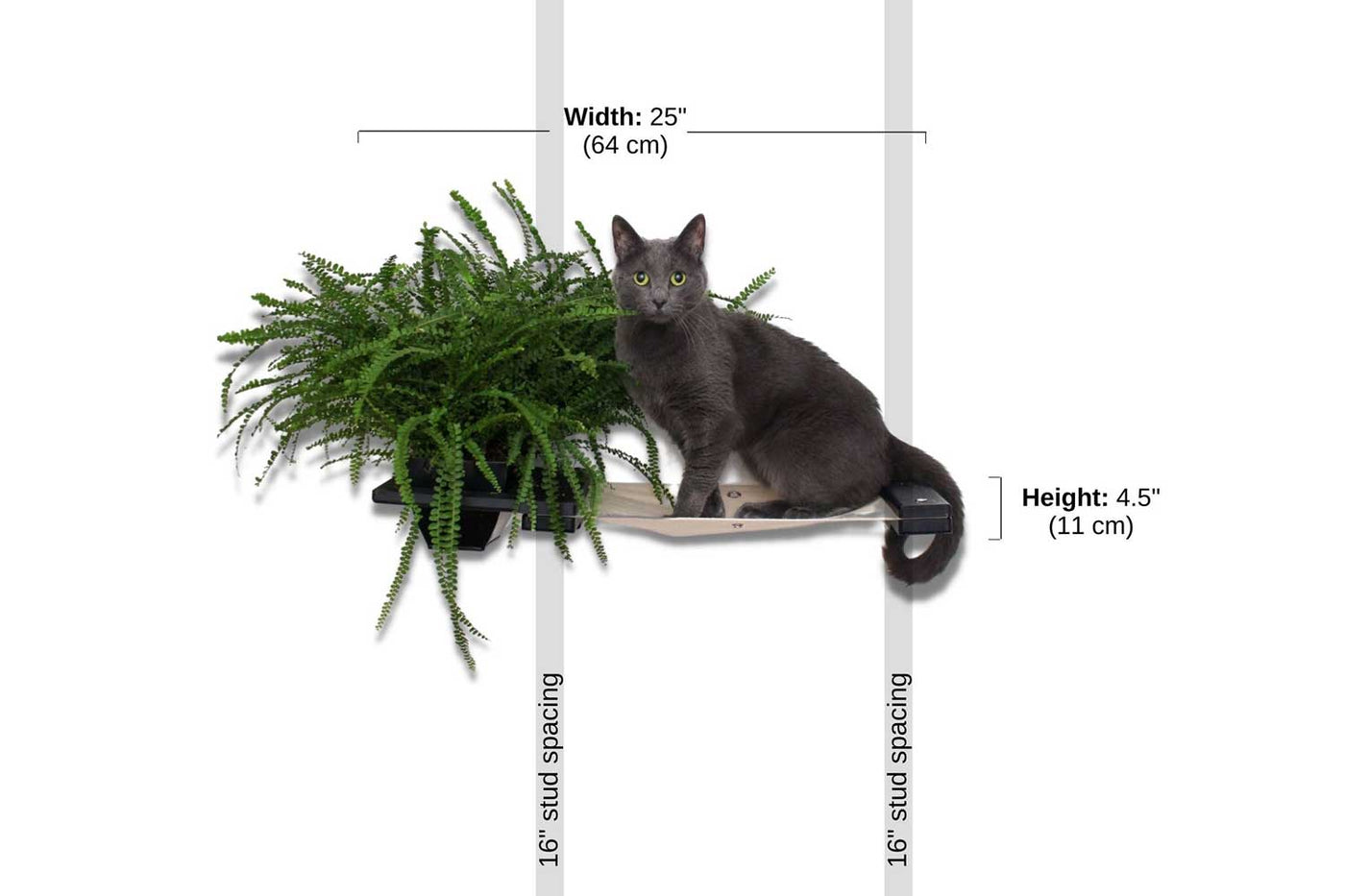 Wall mounted canvas cat hammock with an attached planter box holding cat grass