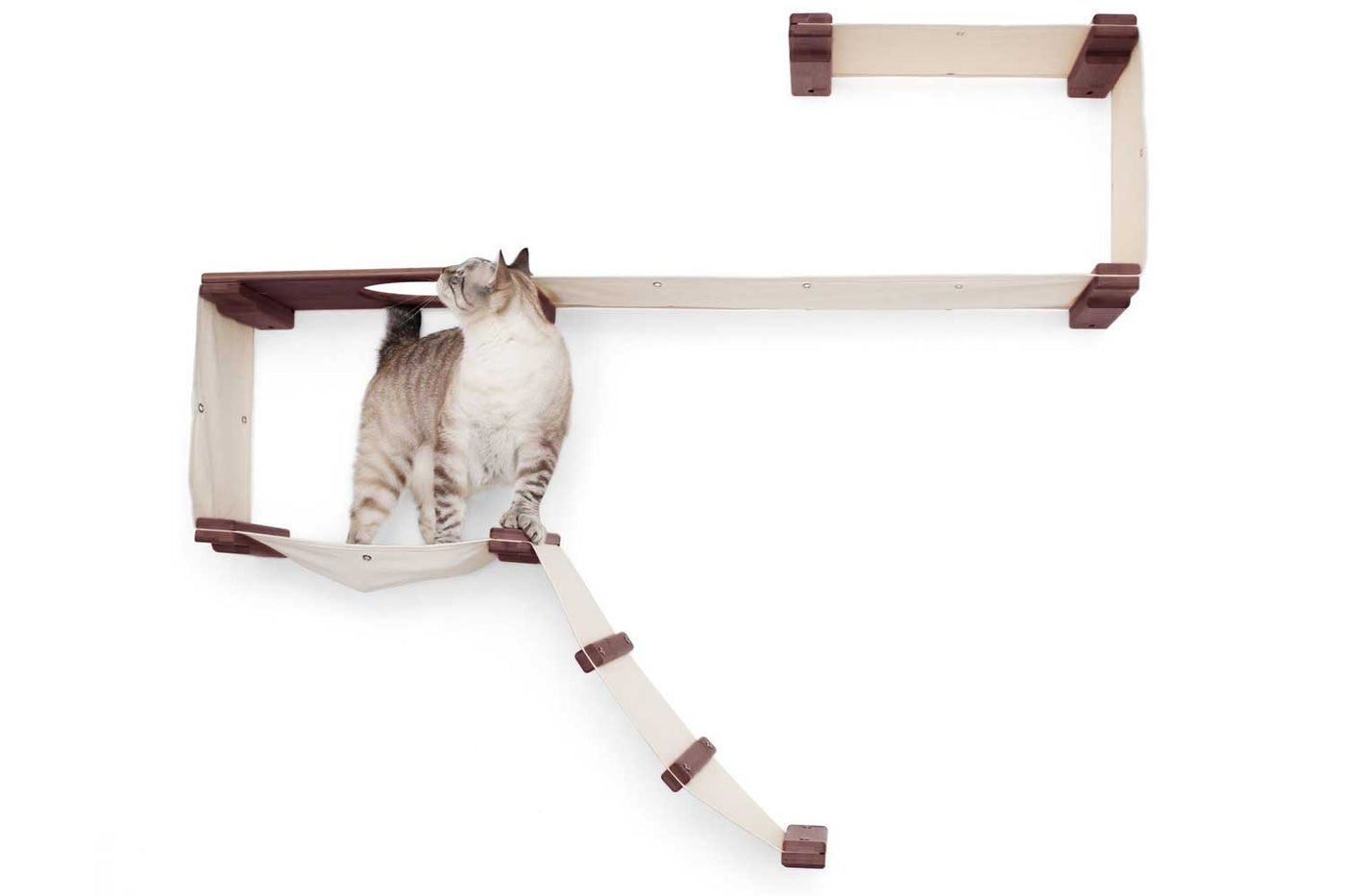 Wall mounted starter cat condo with a ladder, escape hatch, and two canvas hammocks