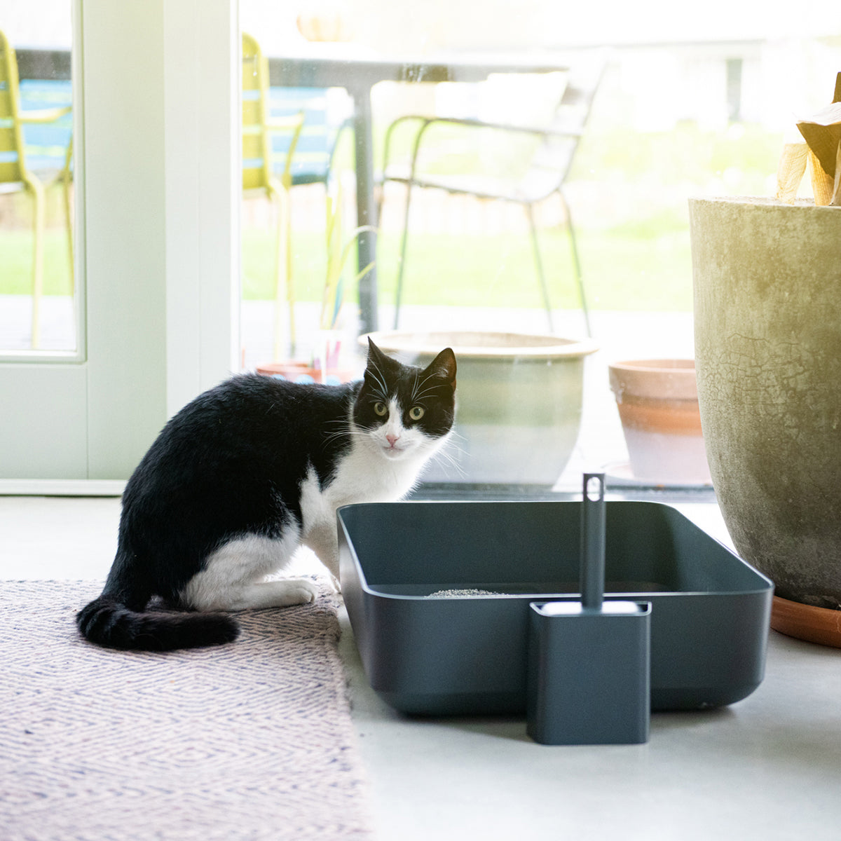 Poh Open Litter Box
