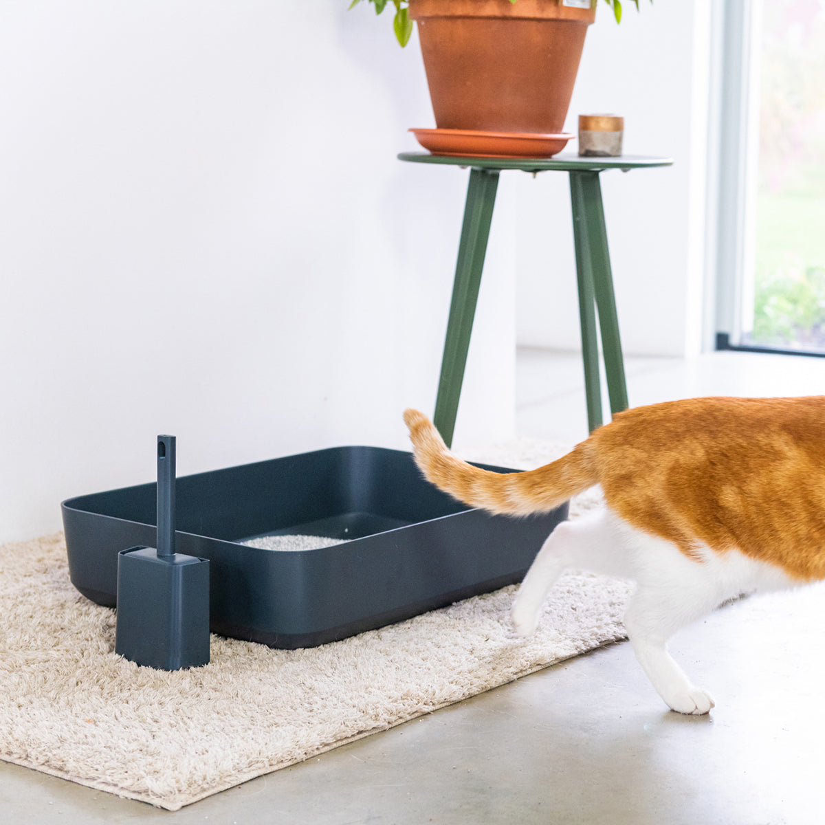 Poh Open Litter Box