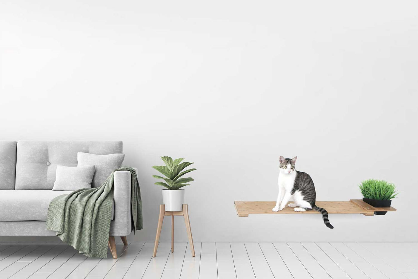 Wall mounted bamboo cat perch shelf with planter pots of greenery on either side