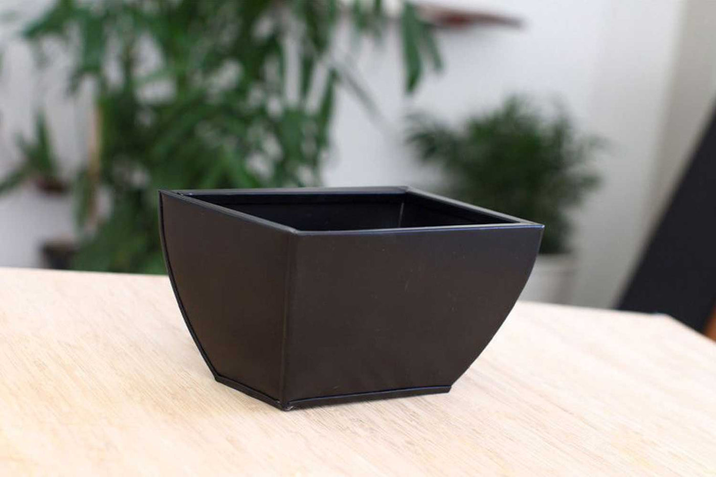 Wall mounted bamboo cat perch shelf with planter pots of greenery on either side