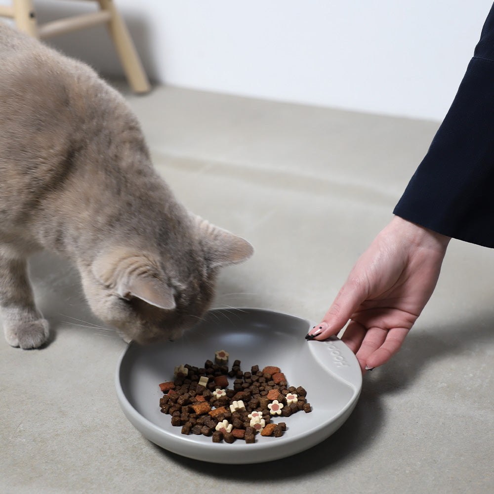 Plate Food Bowl