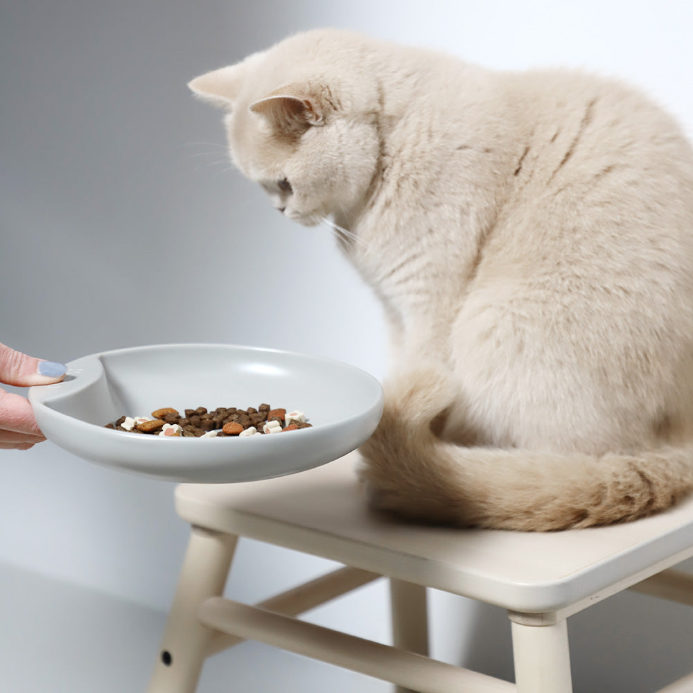 Plate Food Bowl