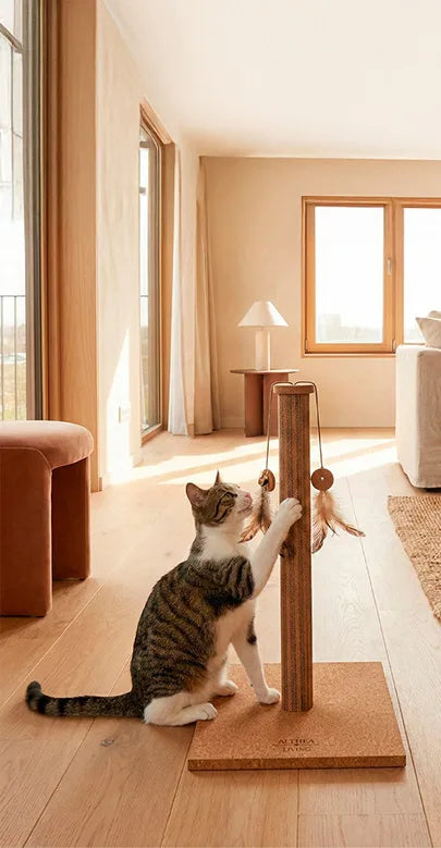 Brisa Cork Scratching Post, view 4