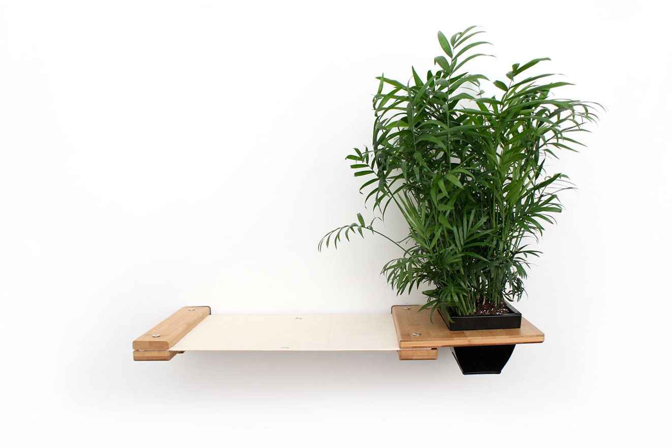 Cat Hammock Wall