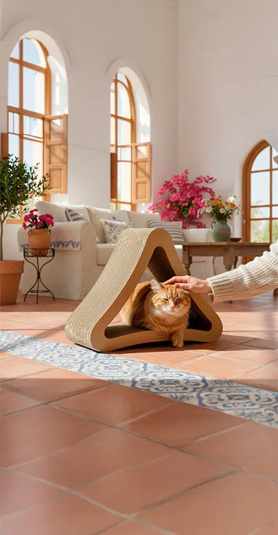 Delta Geometric Cat Scratcher by Althea Living