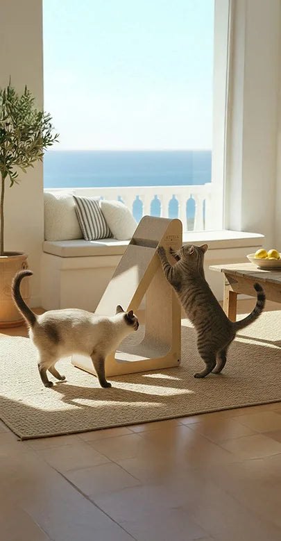 Rompeolas Cat Scratcher, view 3