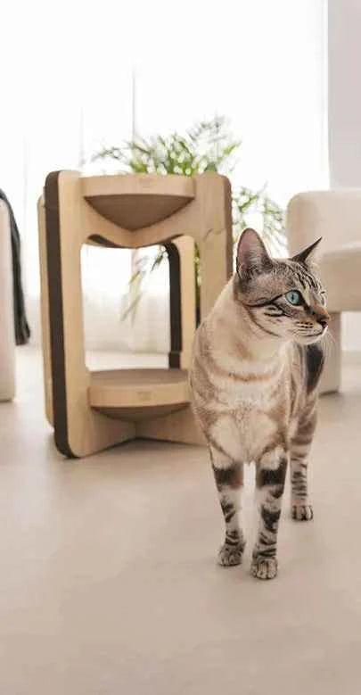 Torre Vigia Cat Scratcher Tower